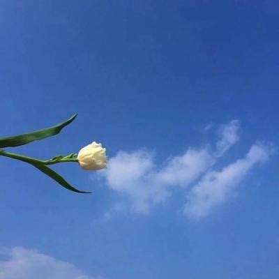 幻剑修仙腾讯版下载