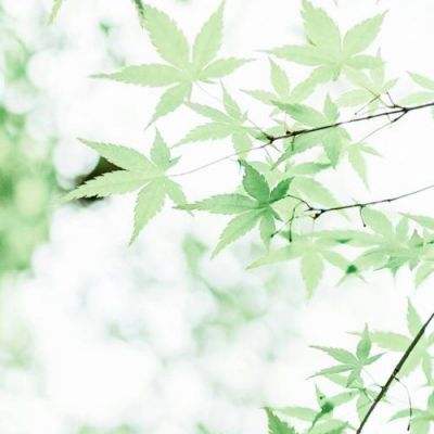 美人江湖手游下载