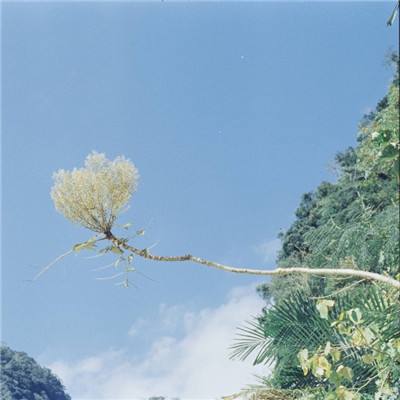 九游小虾米闯江湖手游下载
