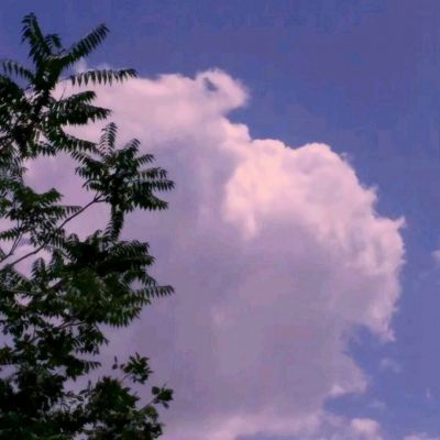 三界轮回ol手游下载
