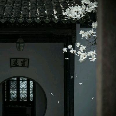 仙魔杀360版下载